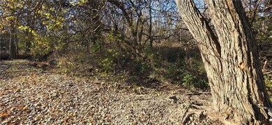 701 6th St, Baldwin City, KS 66006 - photo 5