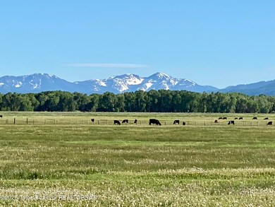Snow - View to the South, 40 acres