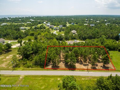 Ashman_Farrar-Standard-Res-3