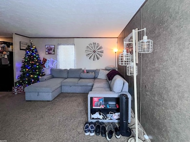 20642 Raleigh Dr, Clinton Township, MI 48036 - photo 3