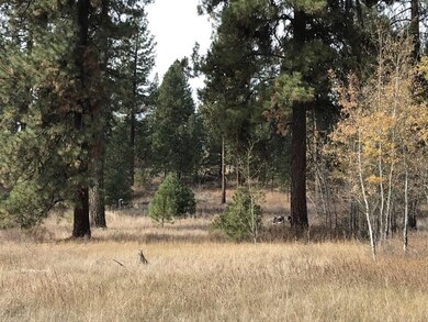 Located Just 5 Miles From Lake Cascade