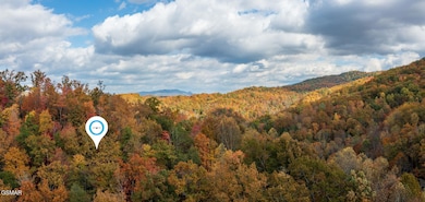 homesandvideos aerials-13345m