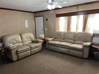 Living room featuring ornamental molding, carpet, 