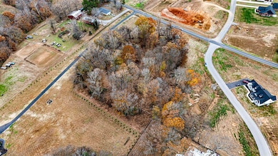 0 New Cut Rd, Alvaton, KY 42122 - photo 2