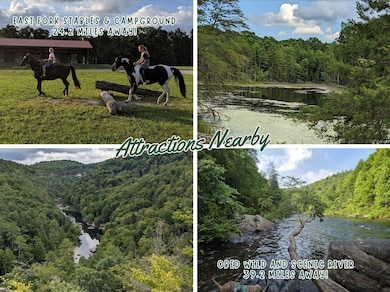 215 E Bobcat Ln E, Wilder, TN 38589 - photo 7