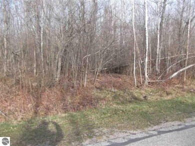 #10 Putnam Rd, Hale, MI 48739 - photo 2