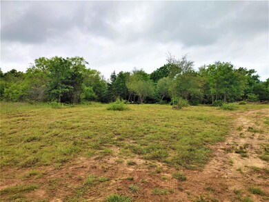 8675 Hutcheson Hill Rd, Springtown, TX 76082 - photo 6