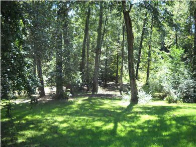 Over acre lot