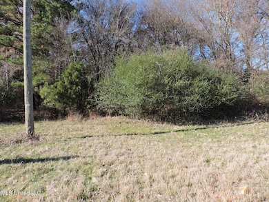4875 Highway 305, Olive Branch, MS 38654 - photo 2