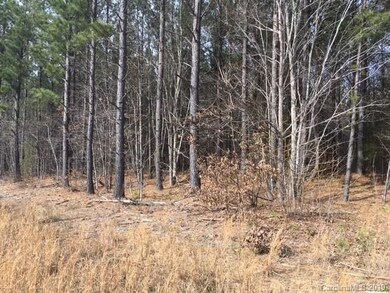 00 Hwy 73 Rd, Iron Station, NC 28092 - photo 4