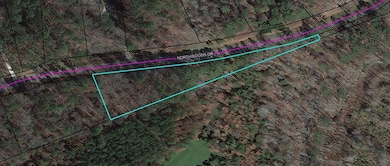 1290 Northwoods Dr, Greensboro, GA 30642 - photo 3