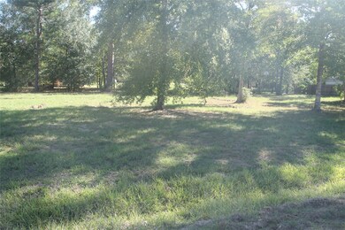 Blk 4, Lt 3 Brady St, Magnolia, TX 77355 - photo 2