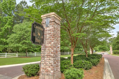 Carolina Bay Entrance I