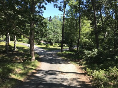 The road