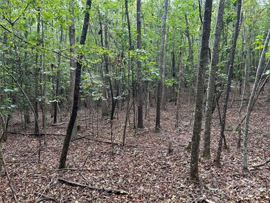 0 Hope Dr unit 20 CAR4299424, Rutherfordton, NC 28139 - photo 7