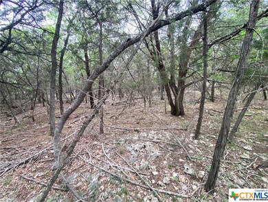 5303 Comanche Dr, Temple, TX 76502 - photo 7