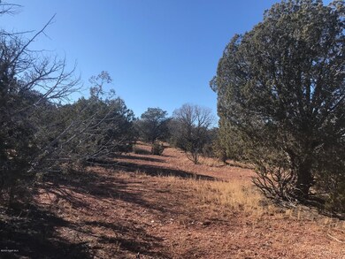 35 Cooks Trail, Ash Fork, AZ 86320 - photo 7