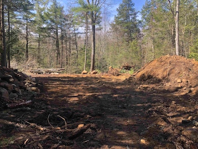 Cleared building envelope