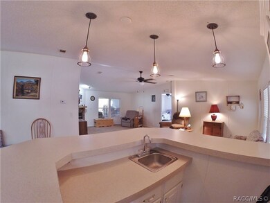 525 E Brandon St, Hernando, FL 34442 - photo 5