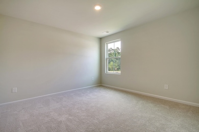 711 Pine Warbler Ln, Moncks Corner, SC 29461 - photo 7