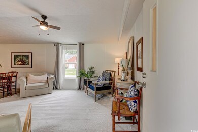 Living room featuring light colored carpet, ceiling fan, and a textured ceiling