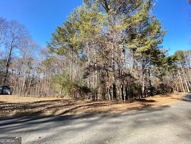 0 Black Oak Trail unit 10267626, Woodstock, GA 30189 - photo 4