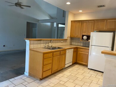 16603 Yaupon Valley, Helotes, TX 78023 - photo 6