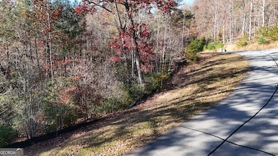 LOT 197 Springwinds Dr, Cleveland, GA 30528 - photo 2