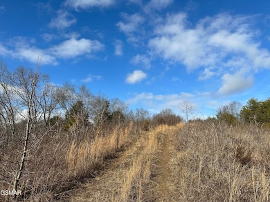 000 Leatherwood Rd, Sevierville, TN 37876 - photo 2