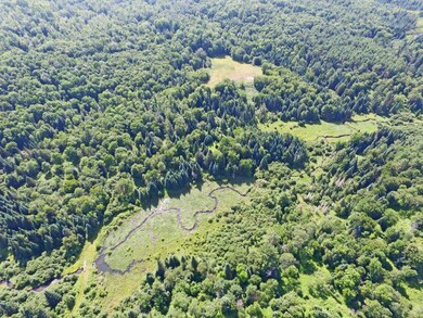 4776 Duck Pond Rd, Saint Johnsbury, VT 05819 - photo 5