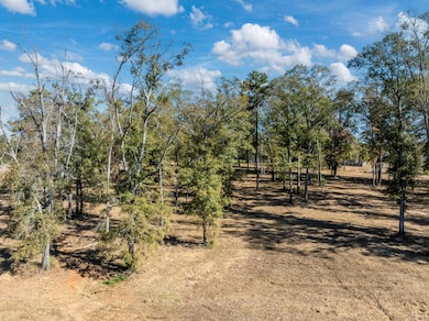 0 Carolina Dr Lot 12, Bullard, TX 75757 - photo 4