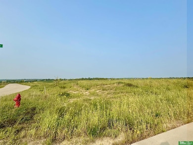 TBD Lot 41 St, Gretna, NE 68028 - photo 3