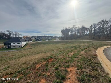 104 Azalea Ln, Loudon, TN 37774 - photo 4