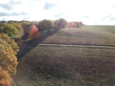 DJI_0299