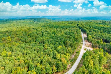 0 Spokelay Rd unit RTC2812627, Spencer, TN 38585 - photo 4