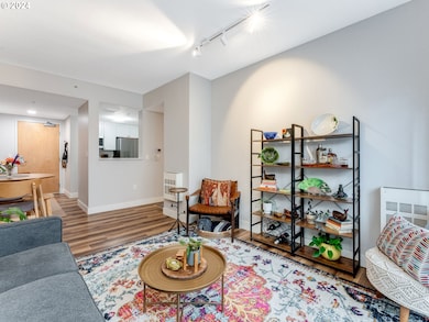 Living Room/Entrance