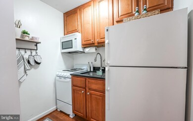 3334 Spring Ln unit A-01, Falls Church, VA 22041 - photo 6