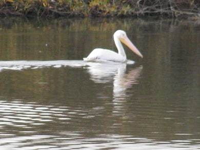 00 Bluff Rd, Moss Landing, CA 95039 - photo 5