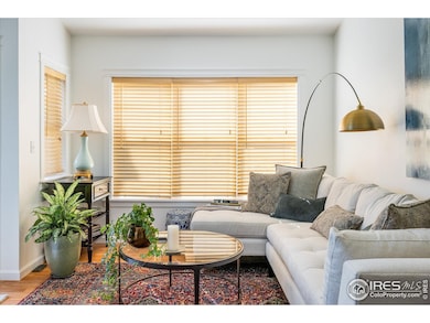 sunlight pours in through south, east and west-facing windows,