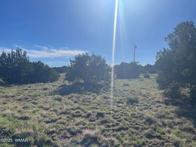 37 Frontage Rd, Concho, AZ 85924 - photo 2