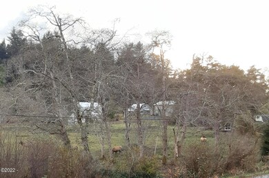 Neolha Elk
