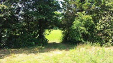 Cut through that separates the two pastures