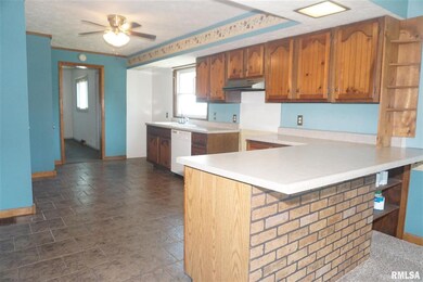 1212 Broadway St, Lincoln, IL 62656 - photo 3