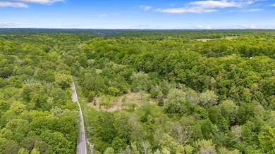 7449 Crow Cut Rd, Fairview, TN 37062 - photo 5