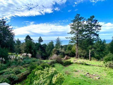 View from deck