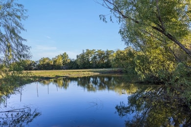 TBD Cr 163, Caldwell, TX 77836 - photo 4