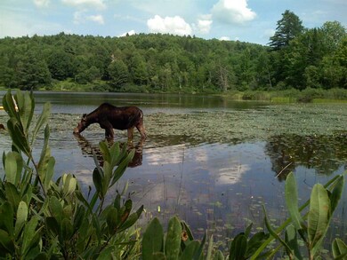 30.7 Hidden Acres Dr unit 30.7, Sugar Hill, NH 03586 - photo 3