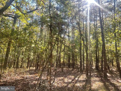 0 4th Ave, Hamilton, NJ 08330 - photo 6