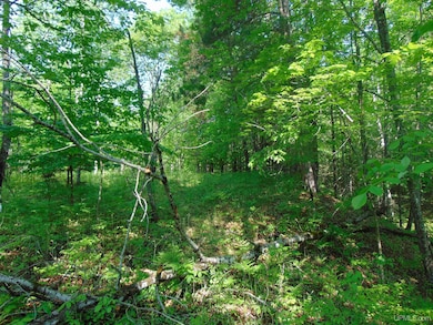 TBD 1 Alston Rd, Laird Township, MI 49958 - photo 7