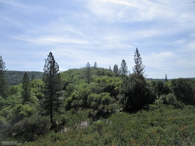 24271 Hoyt Crossing Rd, North San Juan, CA 95960 - photo 2